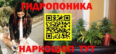 мдпв Кандалакша