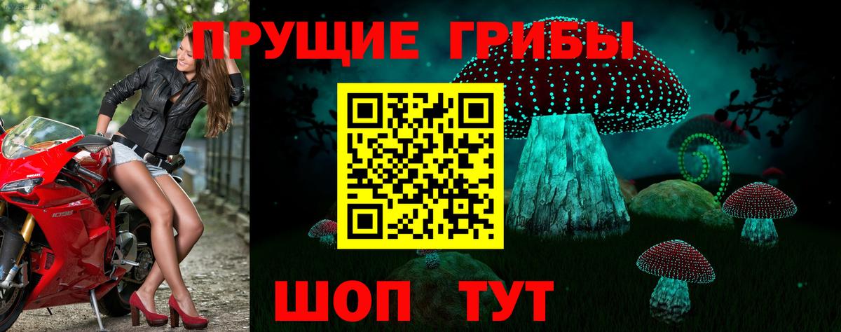 Псилоцибиновые грибы Magic Shrooms  Вход с VPN  Чусовой 